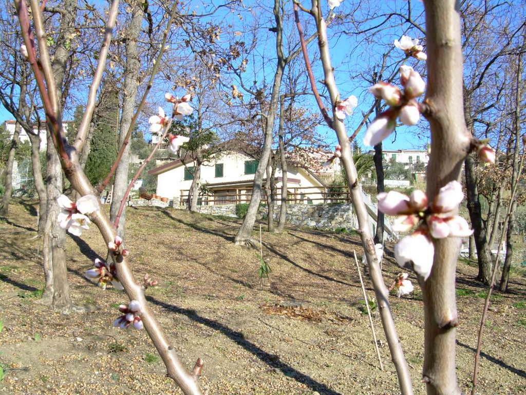 Ariabuona Apartment Монеглия Екстериор снимка